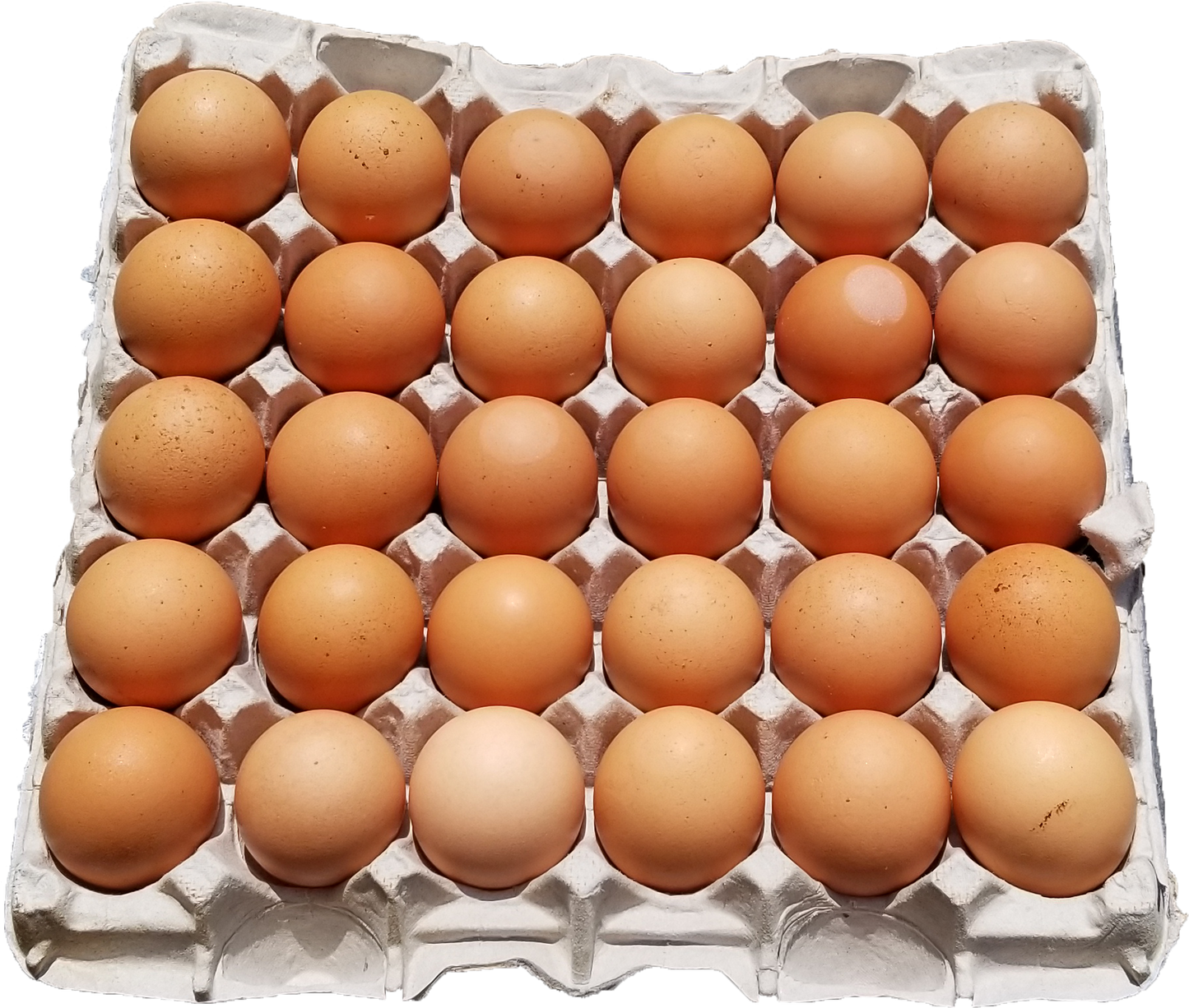 Local Eggs – 30 Pack (Fresh, Nutritious & Farm-Sourced)